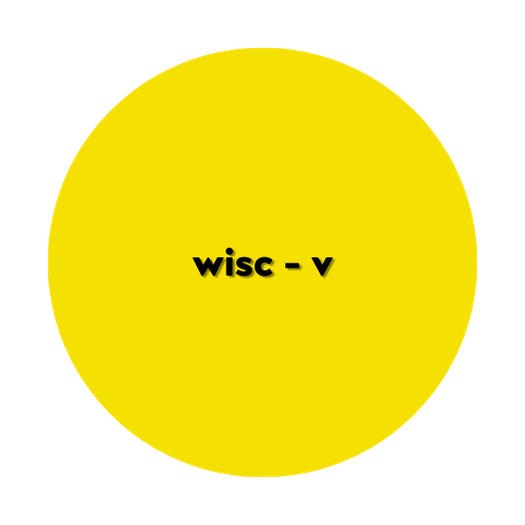 WISC-V